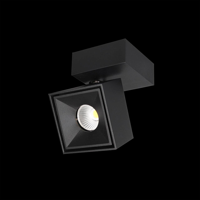 Светильник CITILUX CL558021N